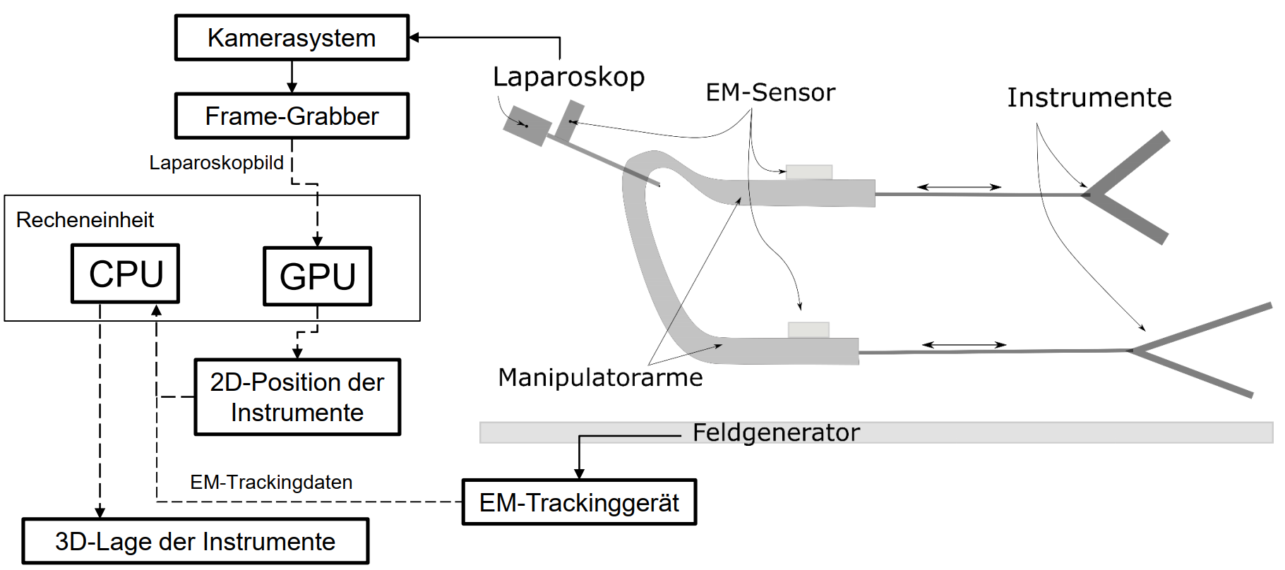 Structure of the Manipulation System